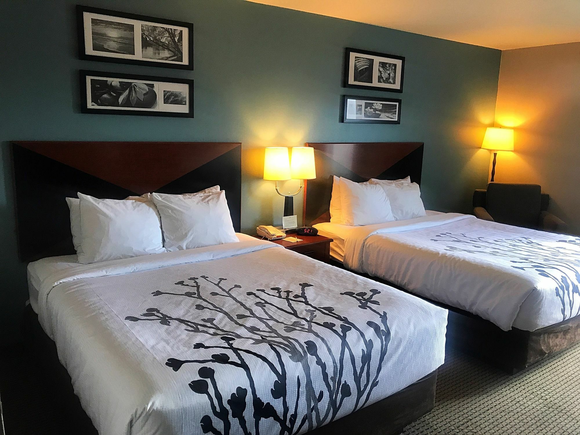 Sleep Inn & Suites Rapid City Eksteriør bilde